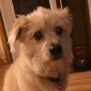 Meet your Posher, Alec